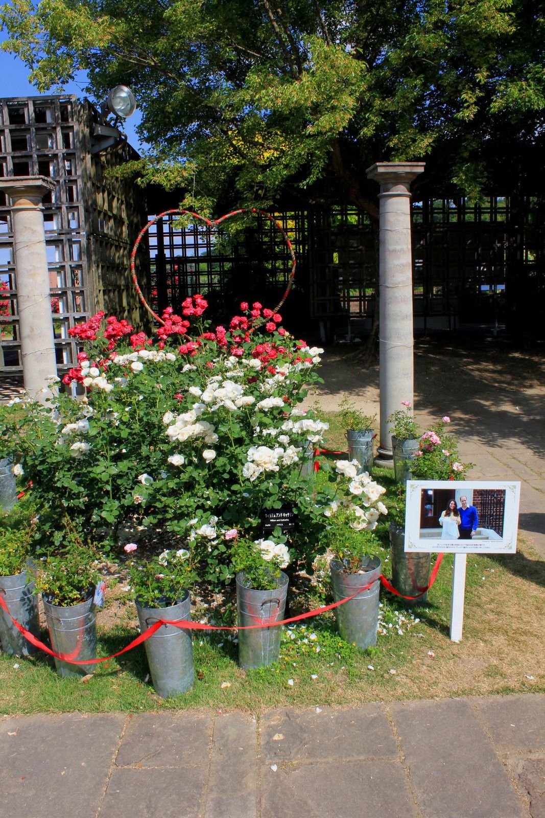 Hana Festa 2015 - Exposition de roses à Kani 