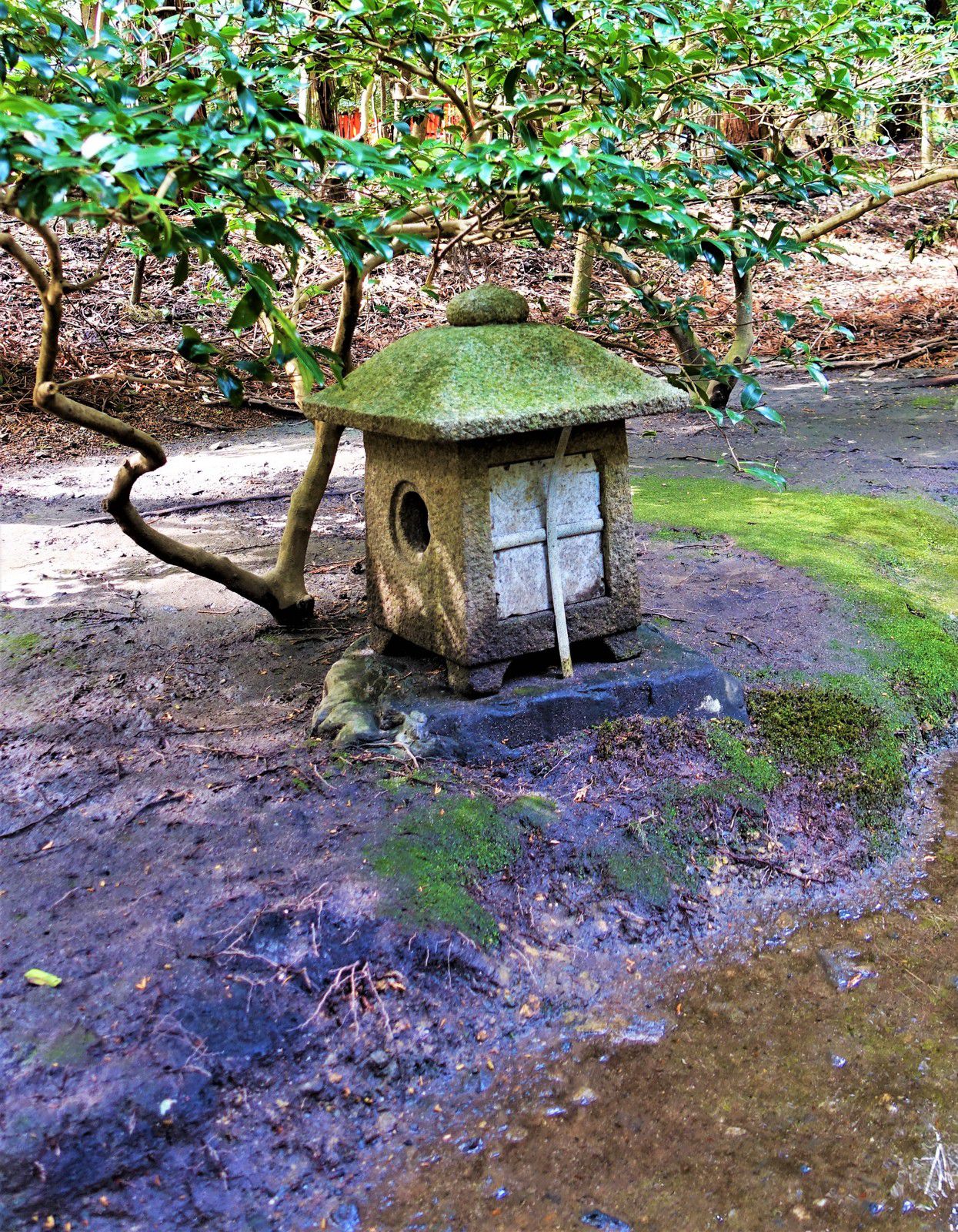 Le sanctuaire Tsubaki Ookami Yashiro