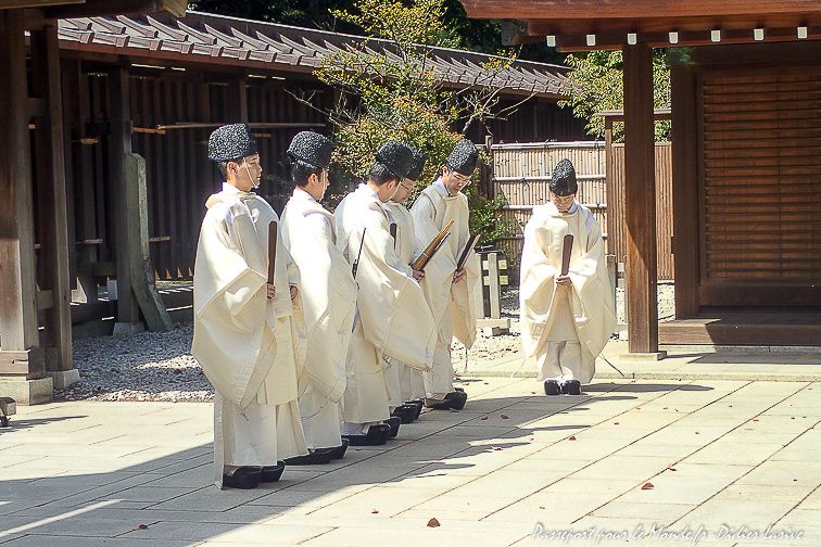 TOKYO SANCTUAIRE DE MEIJI JINGU PARC YOYOGI EMPEREUR MEIJI JARDIN GARDEN HARAJUKU