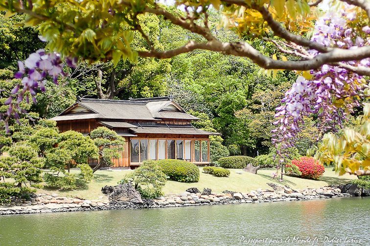 JARDINS HAMA-RIKYU GARDENS