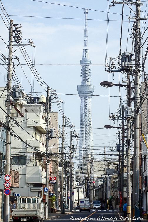 TOKYO SKYTREE TOWN /東京スカイツリータウン 