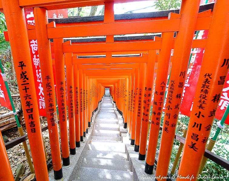 HIE JINJA/ ヒエジンジャ: ENFILADE DE TORIS