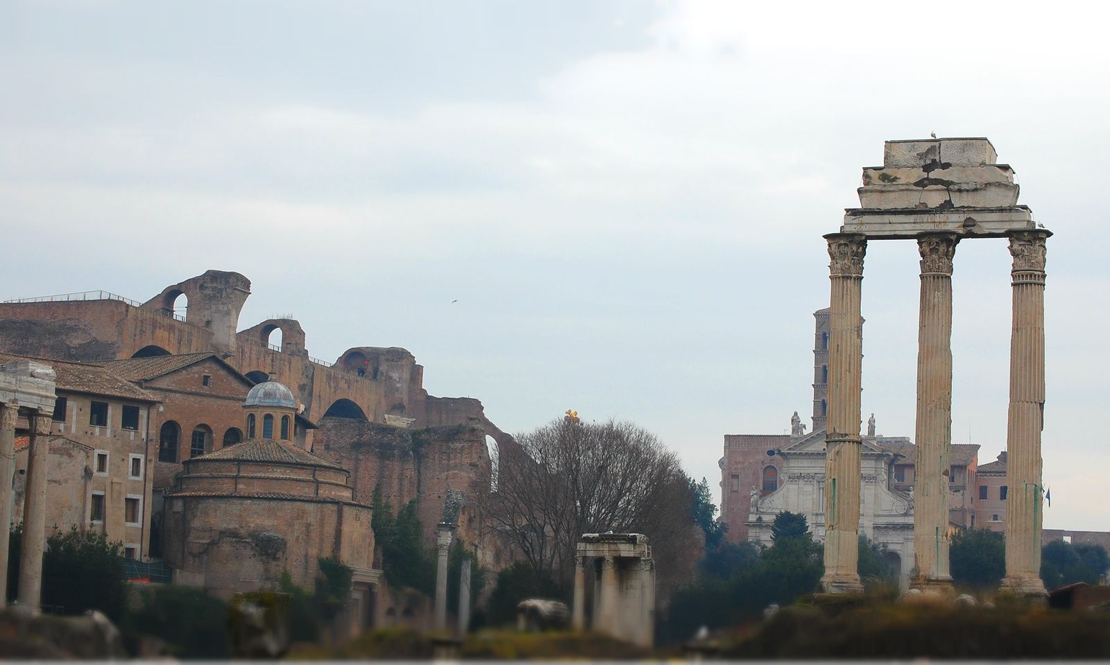 Vue du Forum