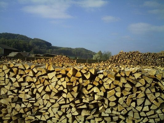 Quiz : devinez le nom de cet écrivain ?