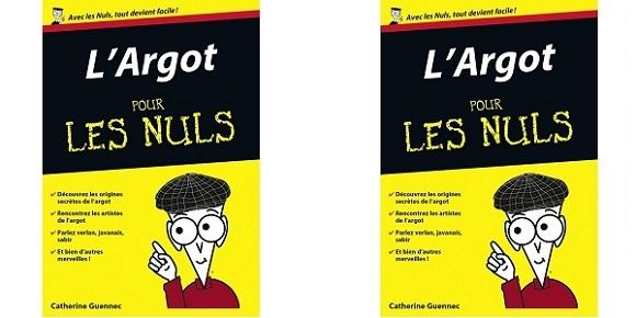 Catherine Guennec : L'Argot pour les Nuls (Éditions First, 2014)