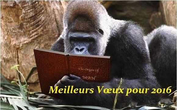 Autoportrait du lecteur intensif.
