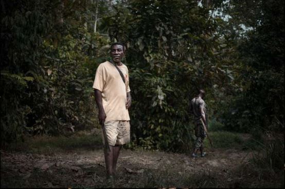 En Centrafrique, d’anciens chasseurs pygmées tentent de sauver les derniers éléphants du pays