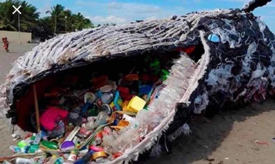 Stop A La Pollution Des Oceans Mdl Aix Stop A La Pollution Des Oceans Mdl Aix