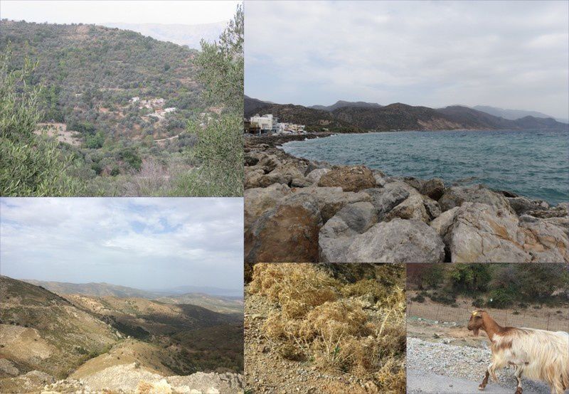 Une semaine en Crète (2016-4)