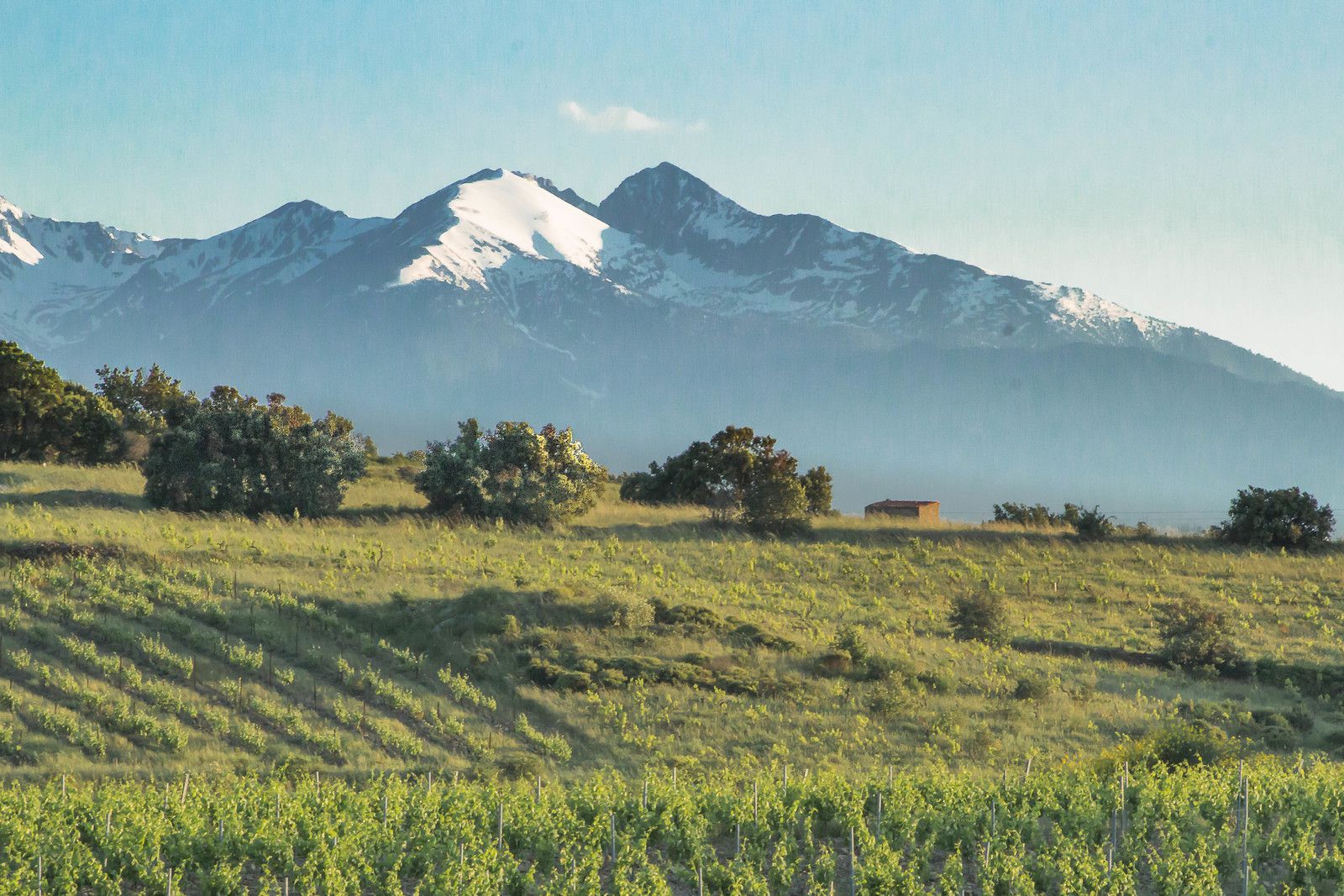 photo de paysage , montagne Canigou