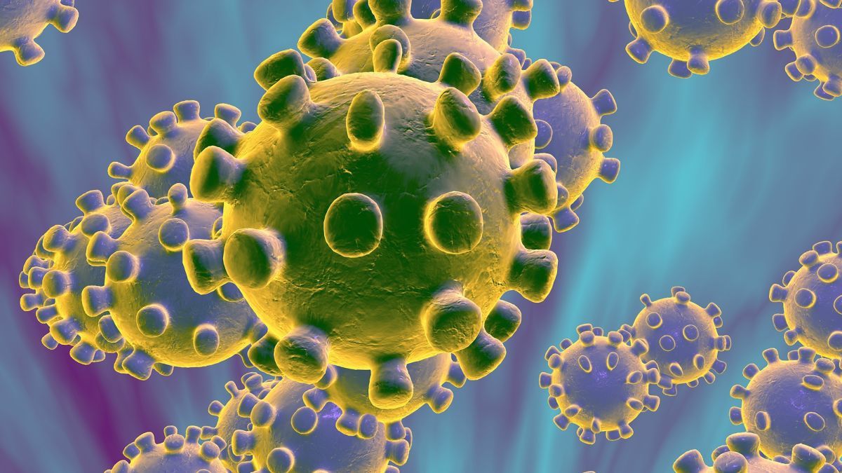 https://edition.cnn.com/2020/01/20/health/what-is-coronavirus-explained/index.html