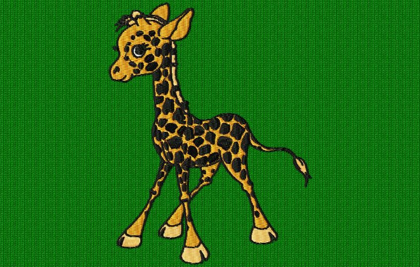 une petite girafe