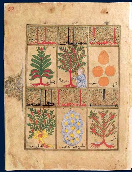 Le livre des antidotes