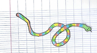 Le serpanthère (Erine)