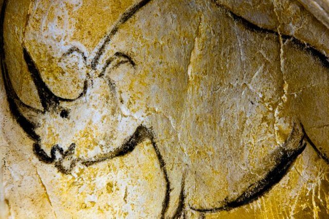 Oeuvre artistique de la semaine : L'art pariétal