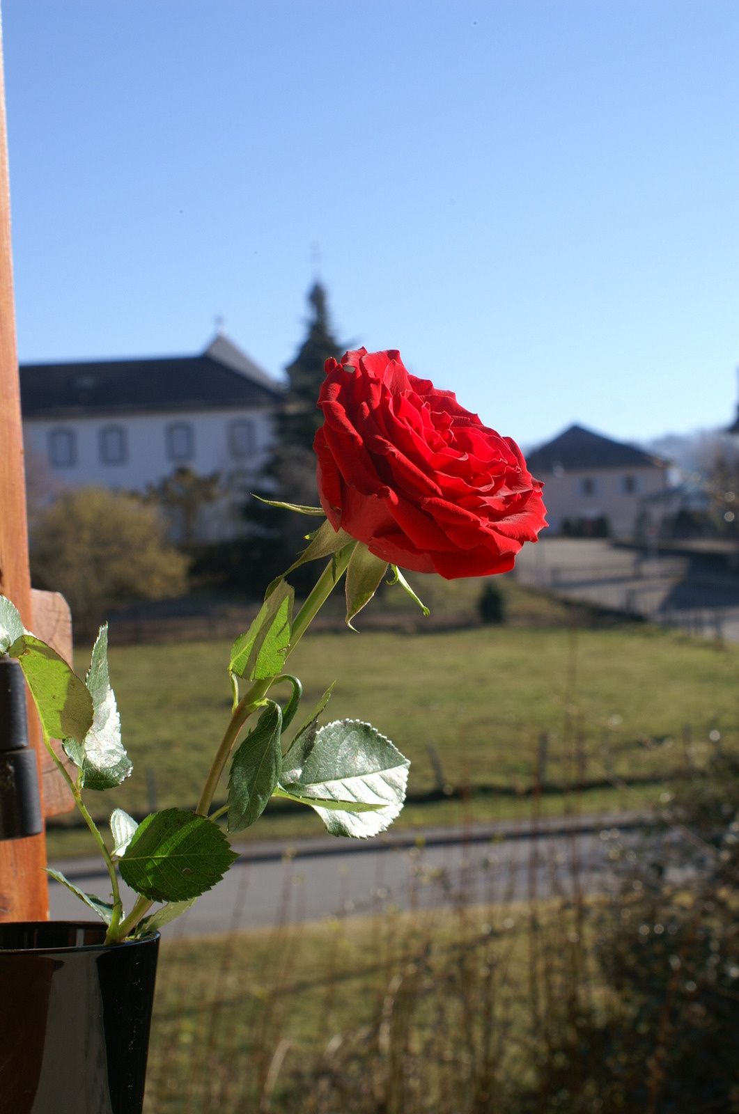Aujourd Hui C Est L Anniversaire De Mon Fils La Colombiere