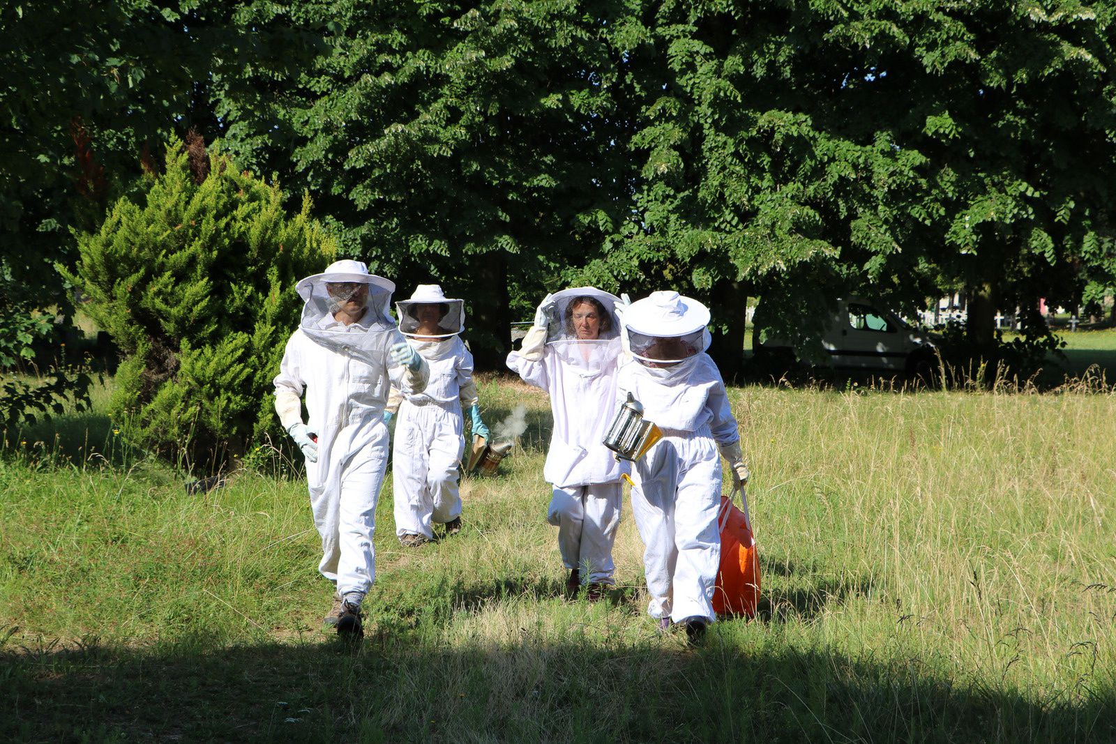 Dans le couvain, la recherche des pontes de la reine est primordial pour connaître l'état de santé de la ruche que l'on inspecte ! Photos de Patrick Duru.
