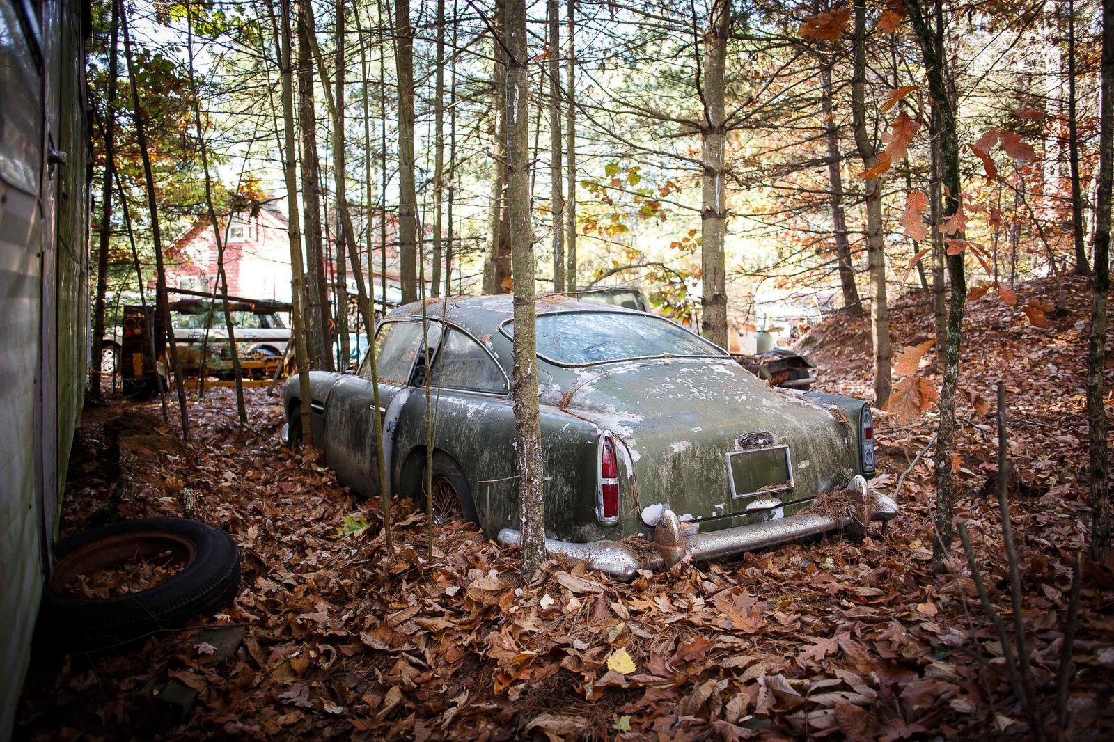 Aston Martin DB4... après 45 ans dans les bois !