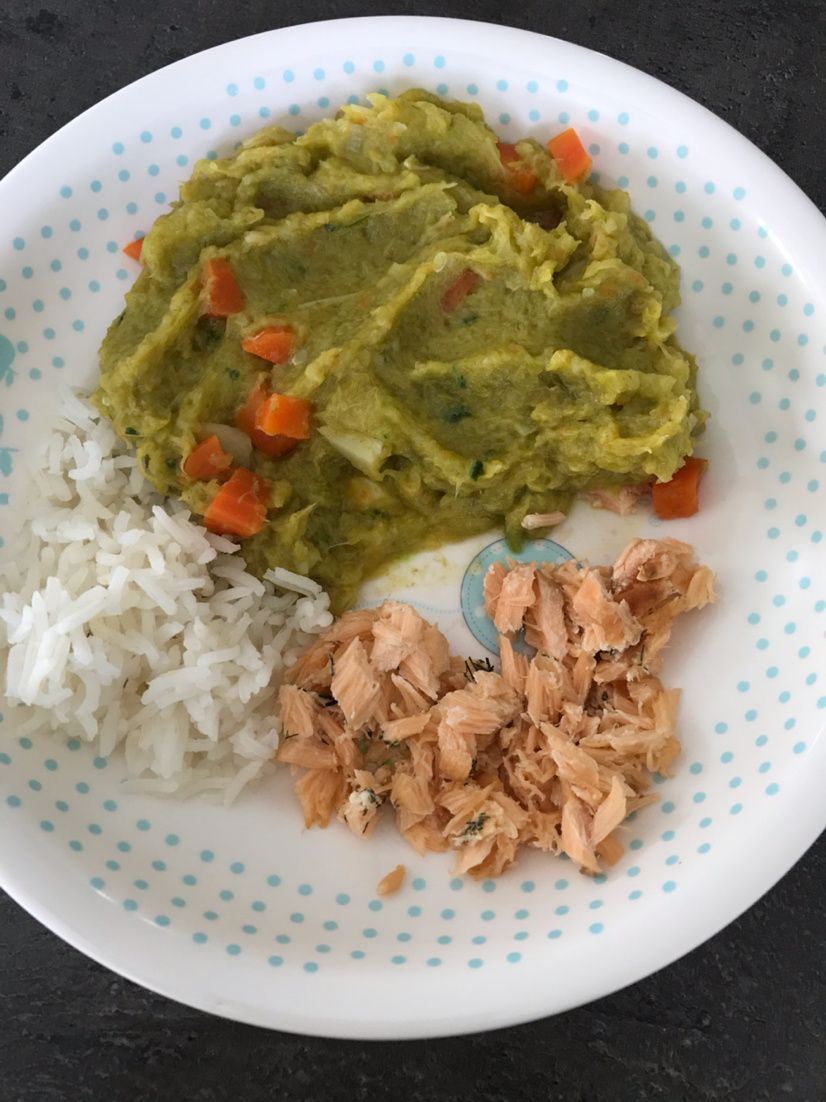 Assiette Bebe Des 10 Mois Puree Poireaux Panais Persil Des De Carottes Saumon Riz Recettes Simples Et Rapides