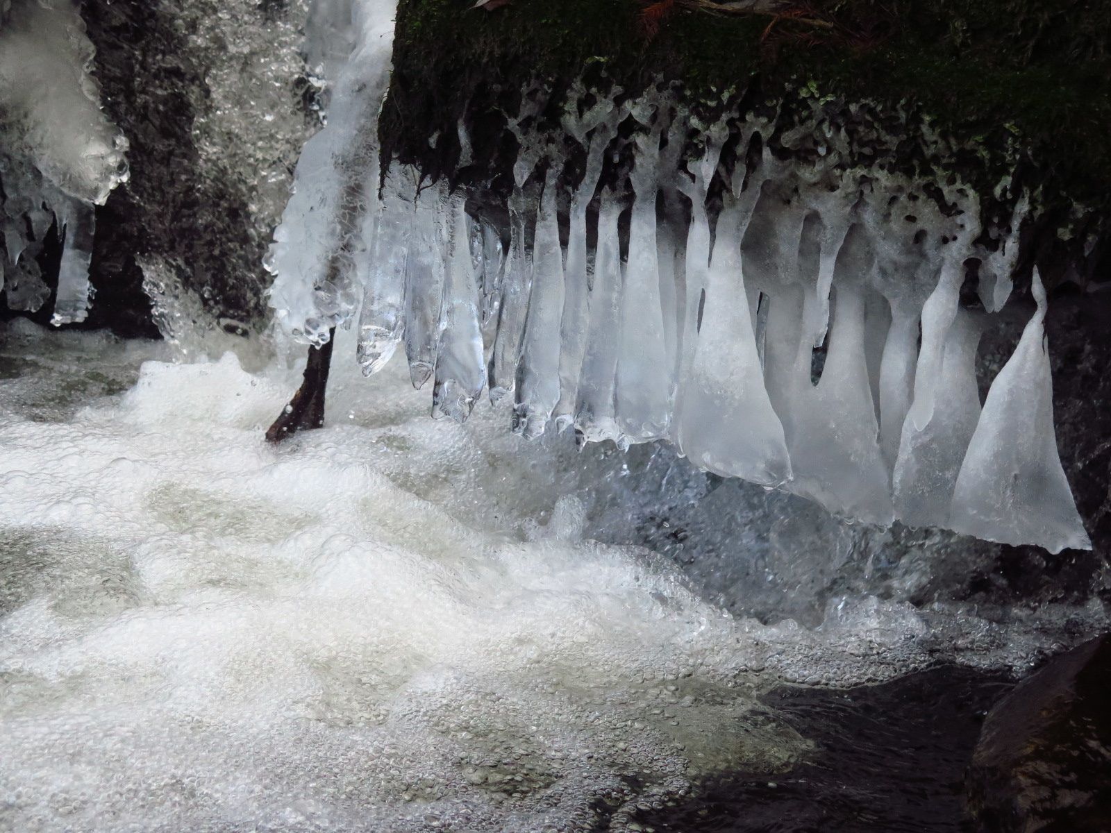 La nature en Lorraine au fil des saisons Toutes les photos sont