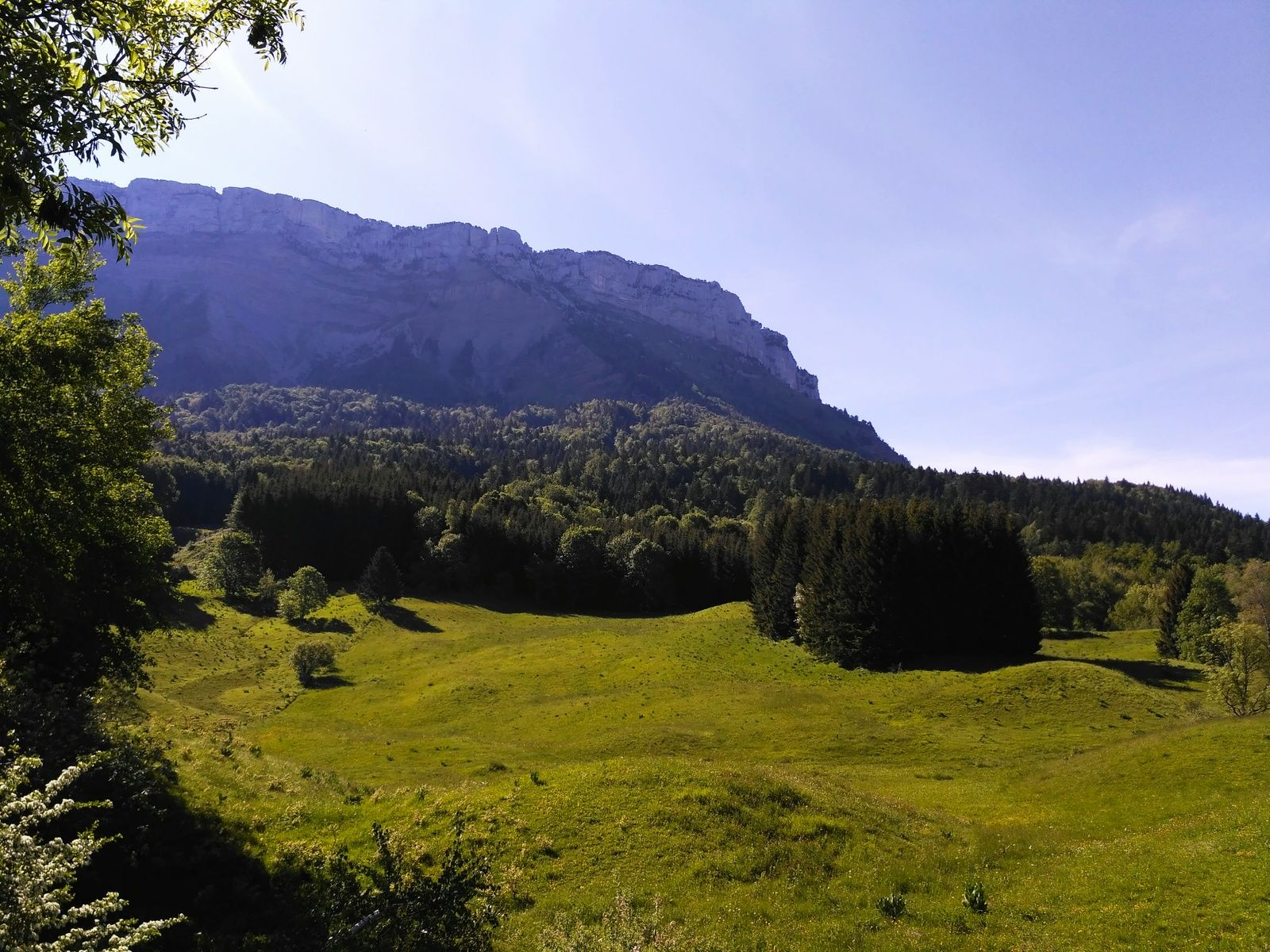 Col de Plainpalais, porte d'entrée dans les Bauges !