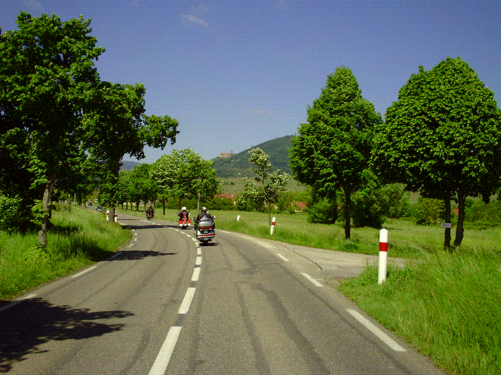 LE CHÂTEAU DU HAUT KOENIGSBOURG DOMINE LA VALLÉE.................... FINALEMENT ON IRA BOIRE UN CAFÉ SUR RIBEAUVILLÉ