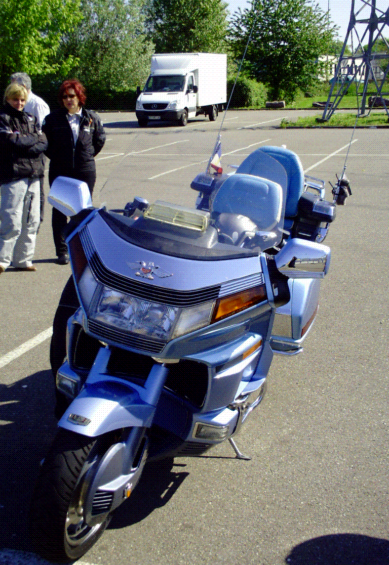 DEUXIÈME SORTIE DE LA GOLD BLEU................SUPERBE SELLE.......... L ´ADRESSE IL FAUDRAIT............... ICI EN ALSACE