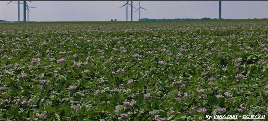 La transition énergétique en France est une régression sans précédent