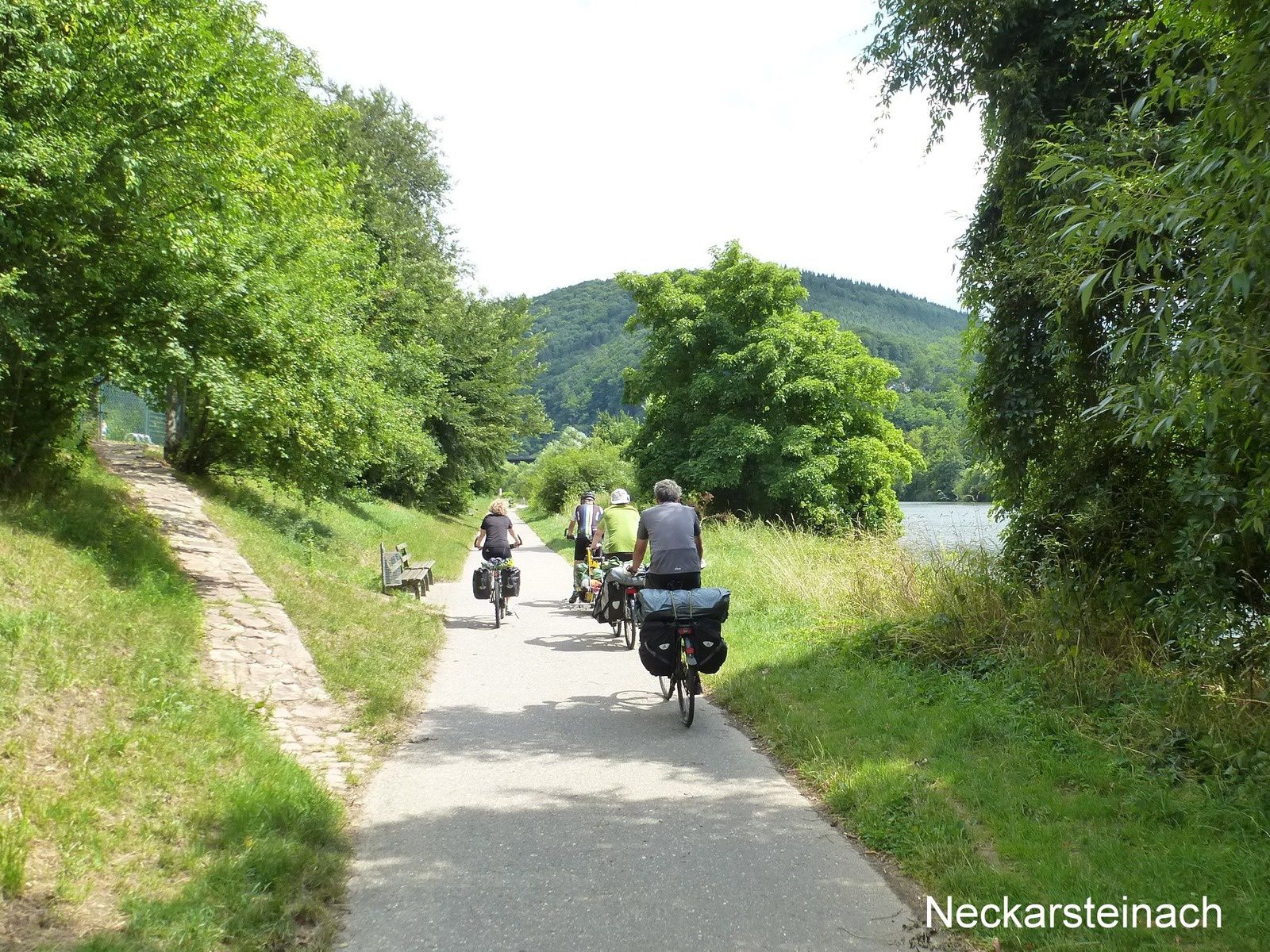 Vallée du Rhin et du Neckar à vélo