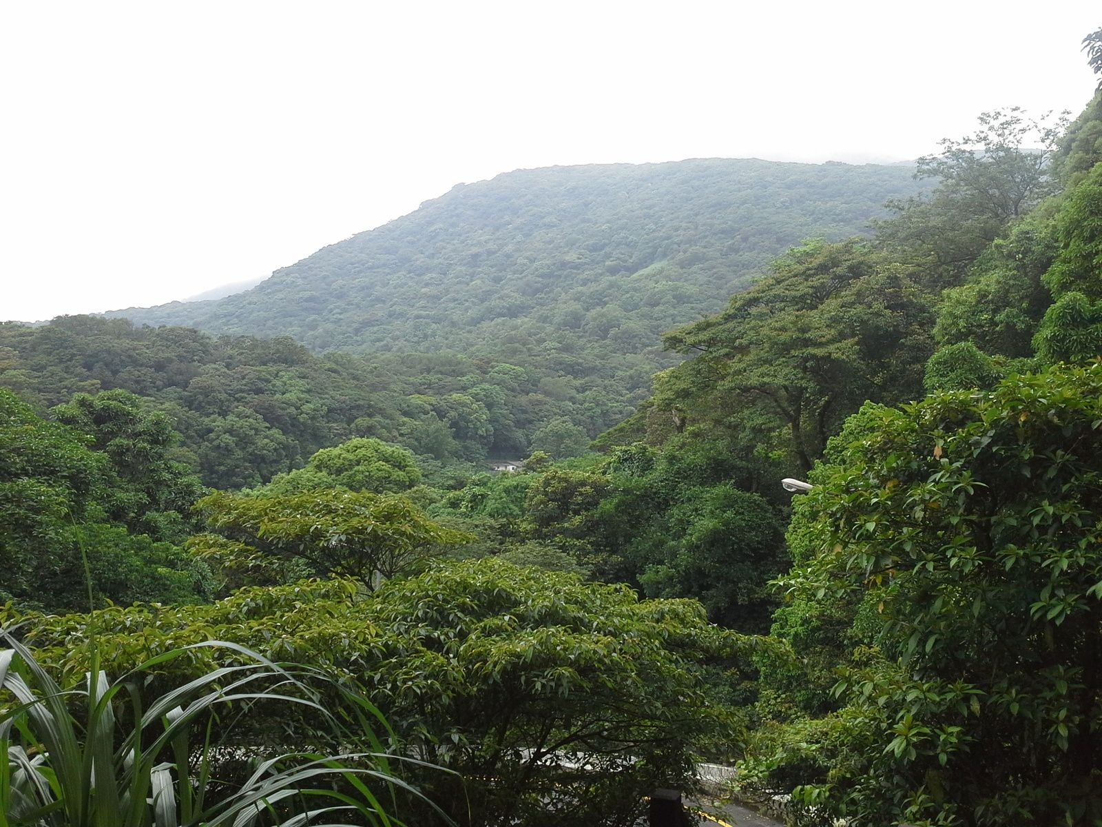 Ça s'edt éclairci par la suite....