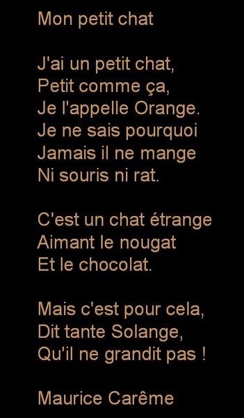 Le Chat Source D Inspiration Le Blog De Lesvoyagesetmoi