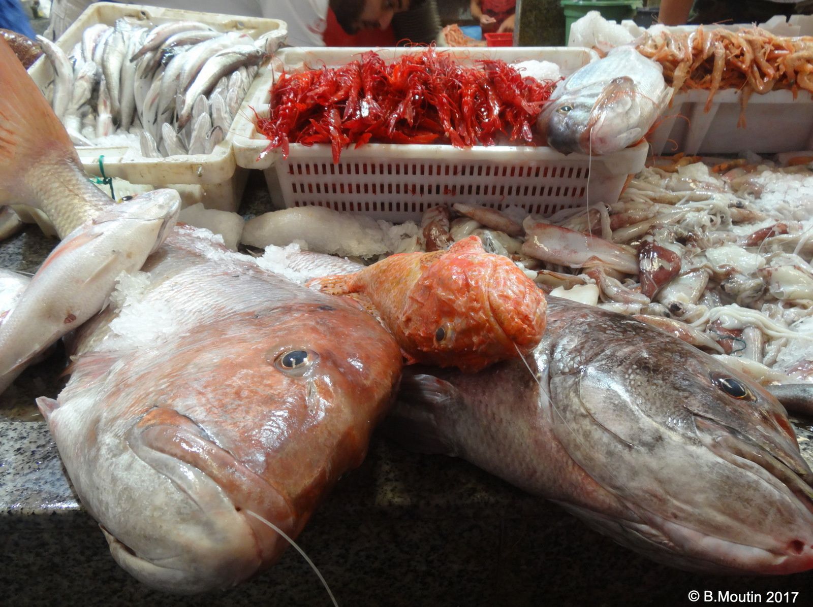 Le marché aux poissons de Tanger (4 photos)