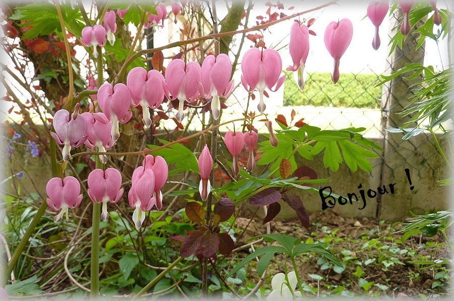 couverture...châle bébé au crochet .