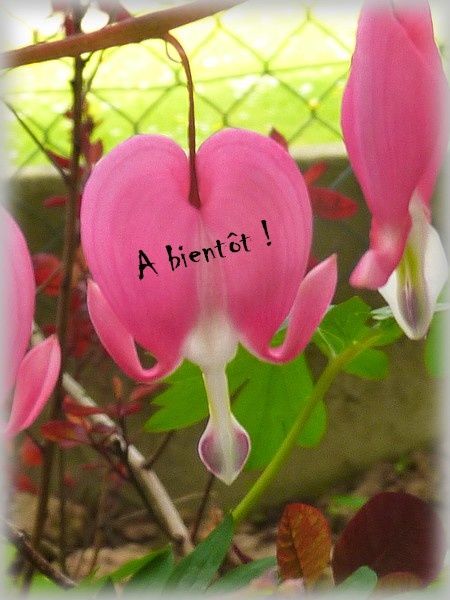 couverture...châle bébé au crochet .