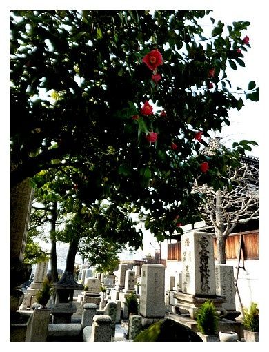 février 2013 : Osaka, le temple Isshin-ji