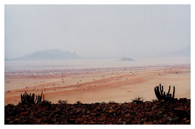 Namibie, Désert du Namib, Tok Tokkie Trail : septembre 1998