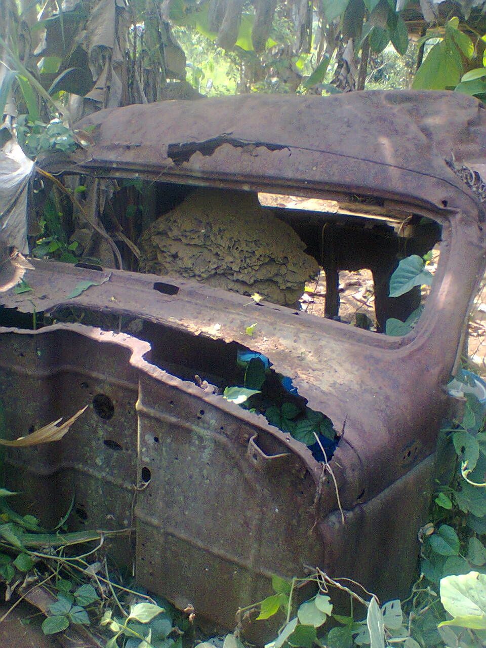 Epave d'avion 1930 bitam