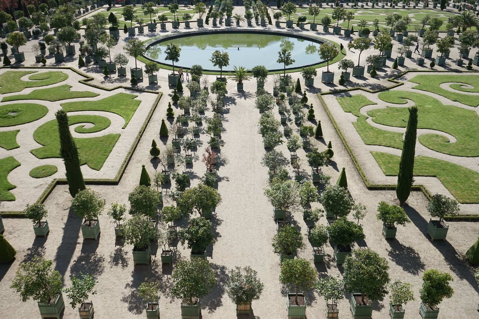 Qui a volé l'orange ? Domaine de Versailles Un jour, une photo, un commentaire.