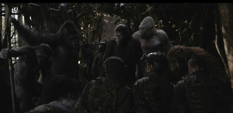 La Planète des Singes : Suprématie