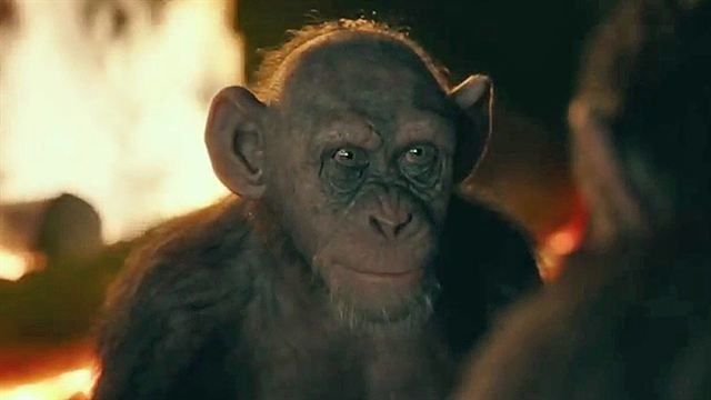 Bad Ape