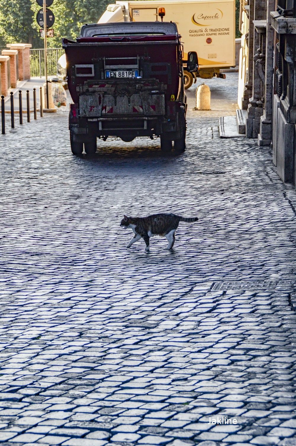 Petit tour matinal au dessus du Forum