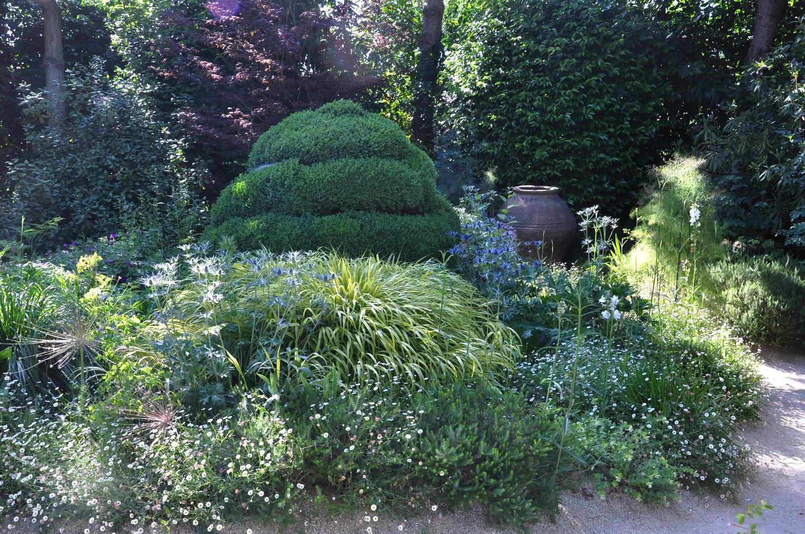 Un jardin sublimé, le jardin d'Agapanthe