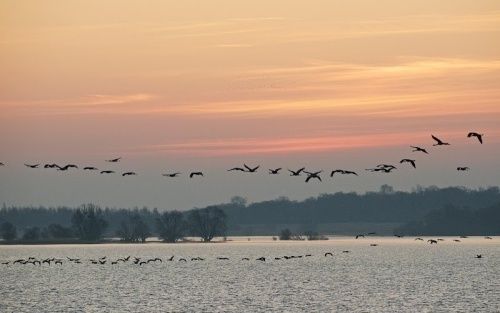OCTOBRE, PLEINE EPOQUE DE MIGRATION AVEC HALTE EN ZONES HUMIDES