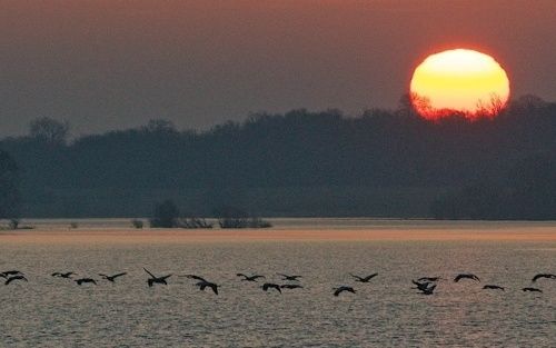 OCTOBRE, PLEINE EPOQUE DE MIGRATION AVEC HALTE EN ZONES HUMIDES