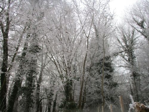 PAYSAGES D'HIVER