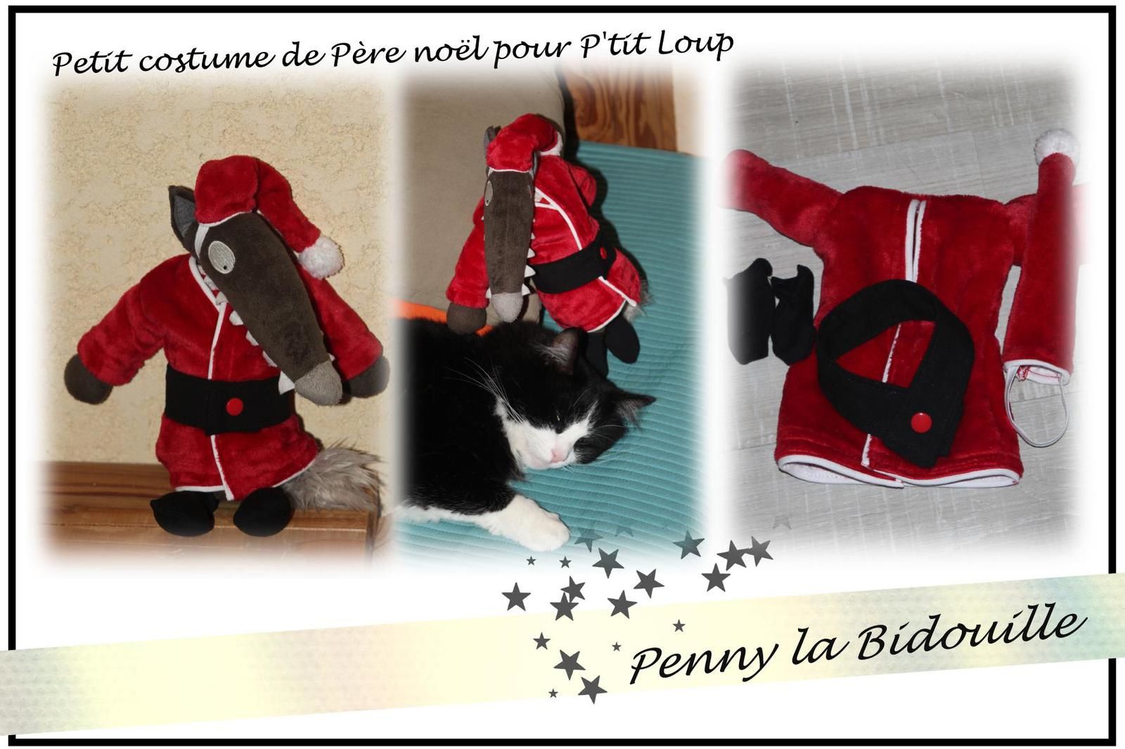 costume pour la mascotte "Petit Loup" - Le Blog de Penny la Bidouille