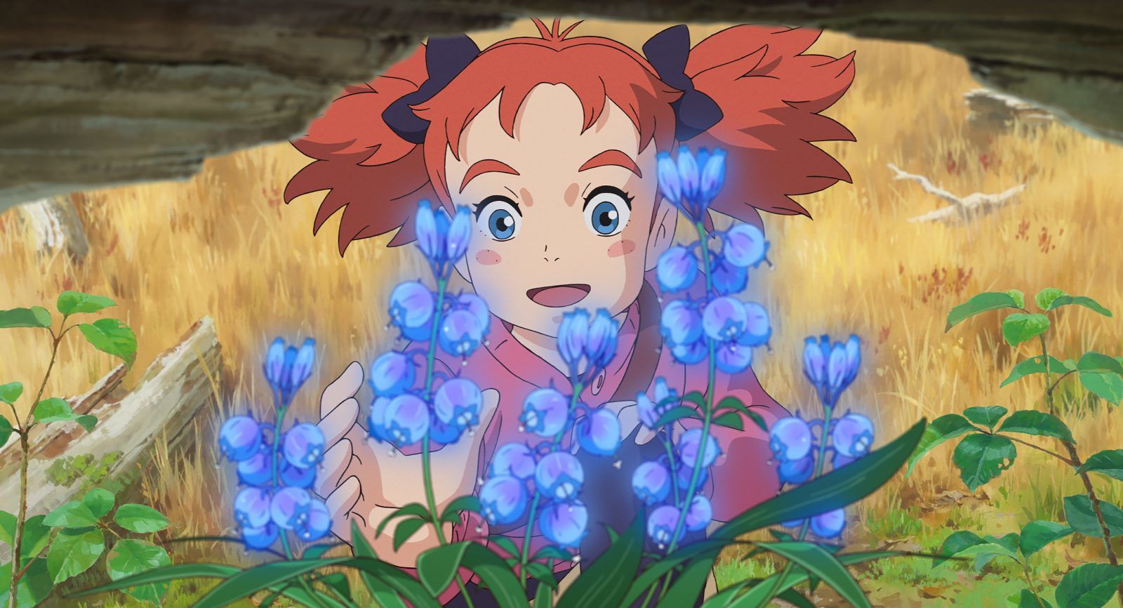 Mary et la fleur de la sorcière - studio ponoc - animation japonaise 