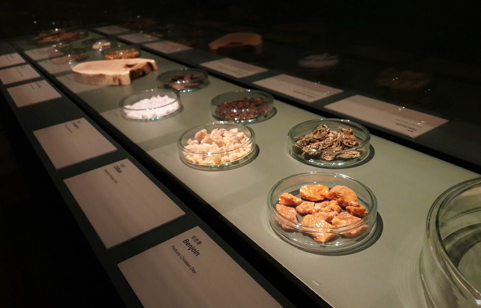 Avis exposition : Parfums de Chine - La culture de l'encens au temps des empereurs - Musée Cernuschi Paris - Le blog d'Akialam