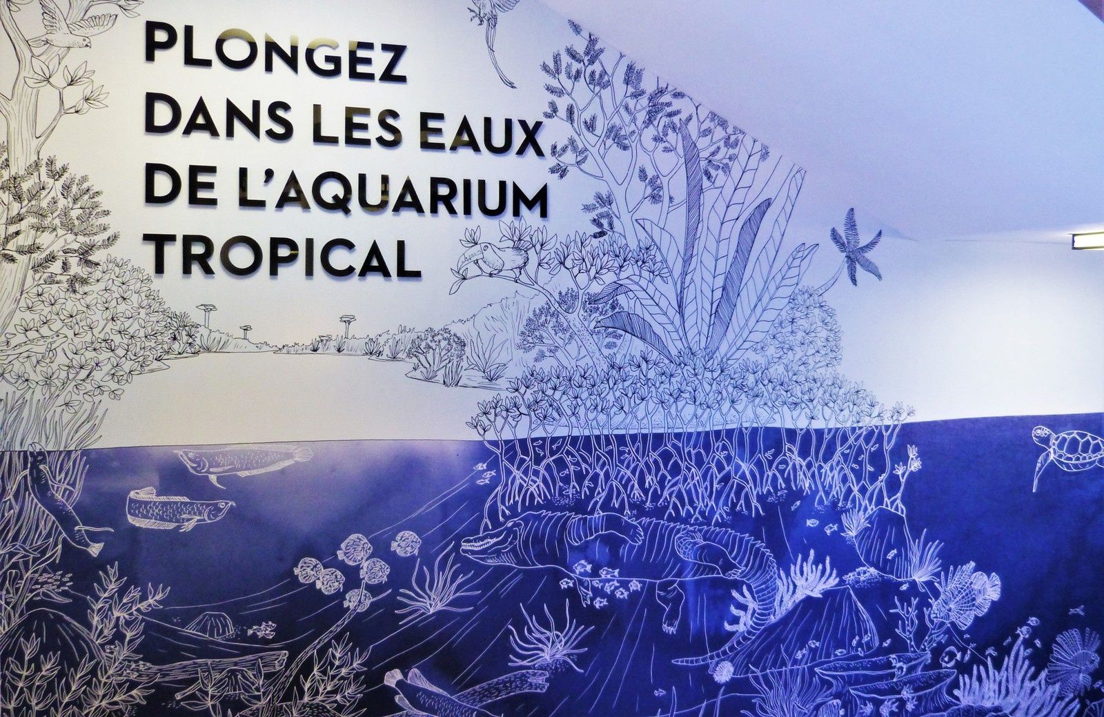 Palais de la porte dorée à Paris - Aquarium