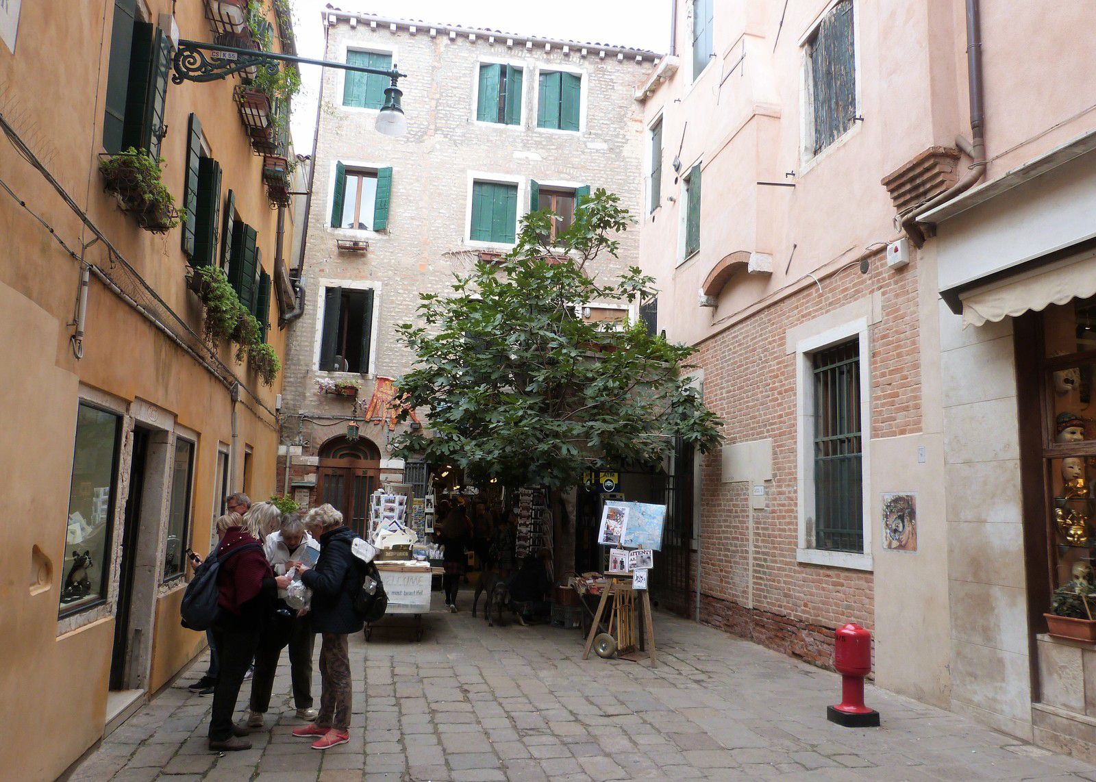 Venise, voyage, librairie Acqua Alta